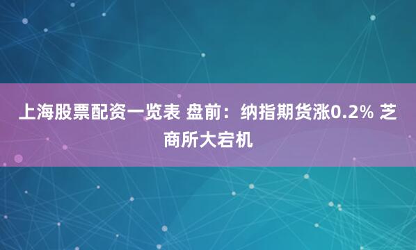 上海股票配资一览表 盘前：纳指期货涨0.2% 芝商所大宕机