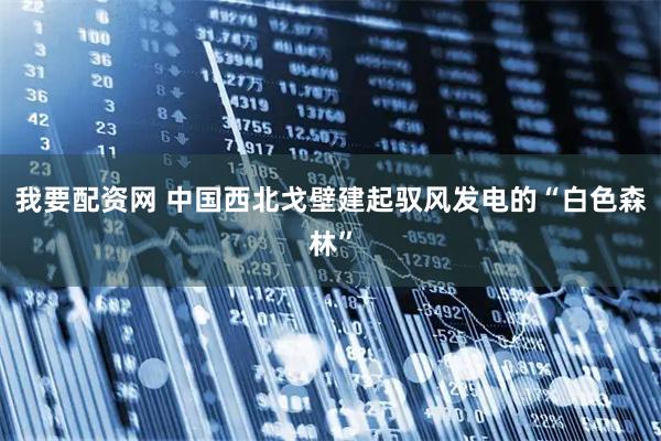 我要配资网 中国西北戈壁建起驭风发电的“白色森林”