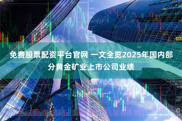 免费股票配资平台官网 一文全览2025年国内部分黄金矿业上市公司业绩